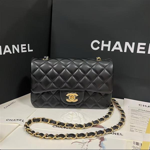 2026127205646529 380